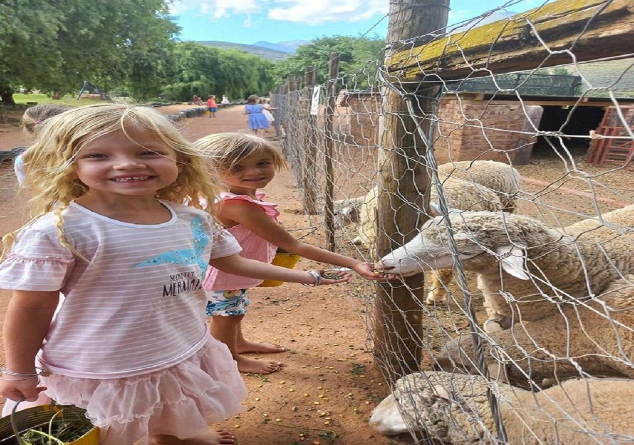 Wilgewandel Holiday Farm & Day Restaurant Oudtshoorn Eksteriør bilde