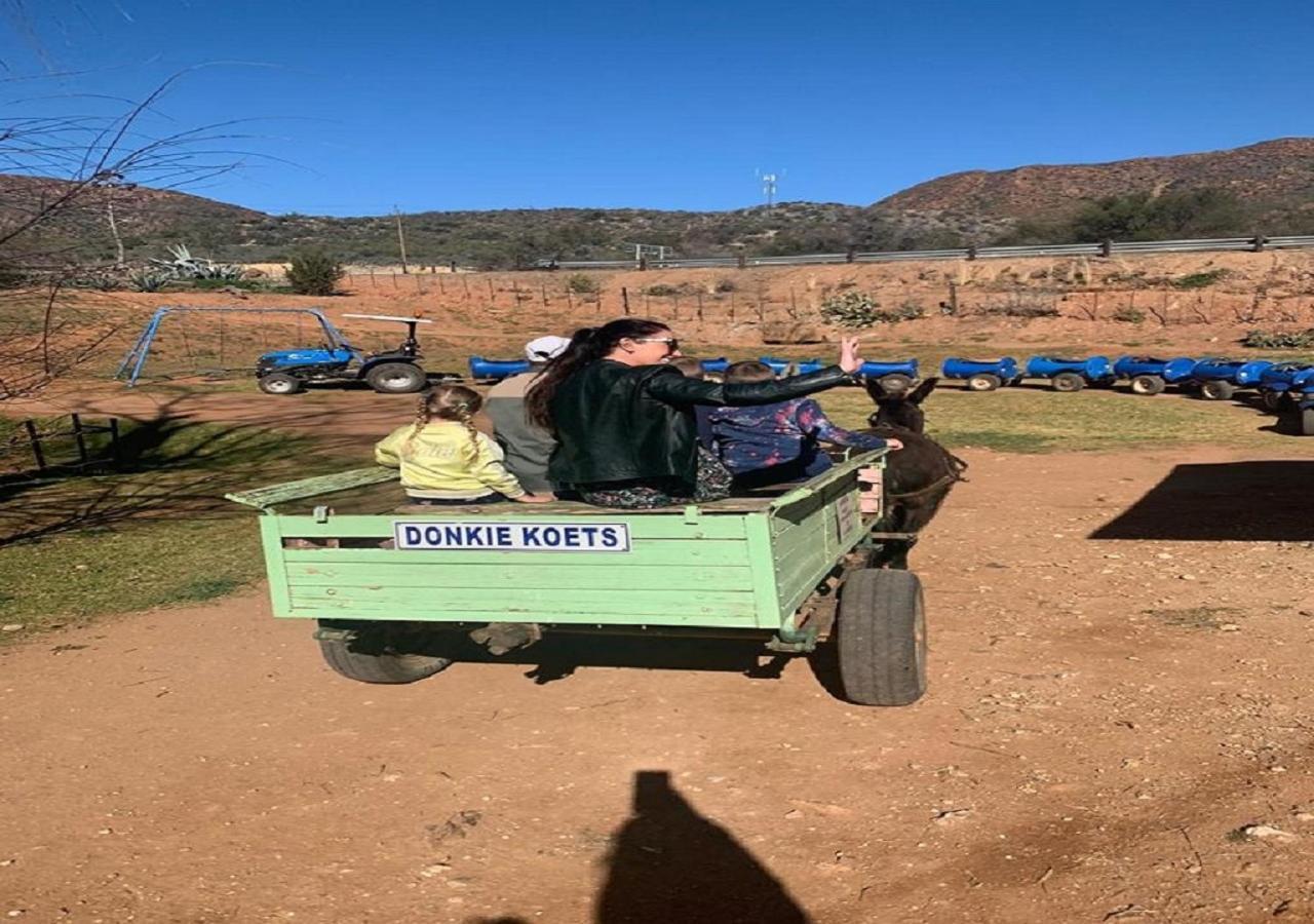 Wilgewandel Holiday Farm & Day Restaurant Oudtshoorn Eksteriør bilde
