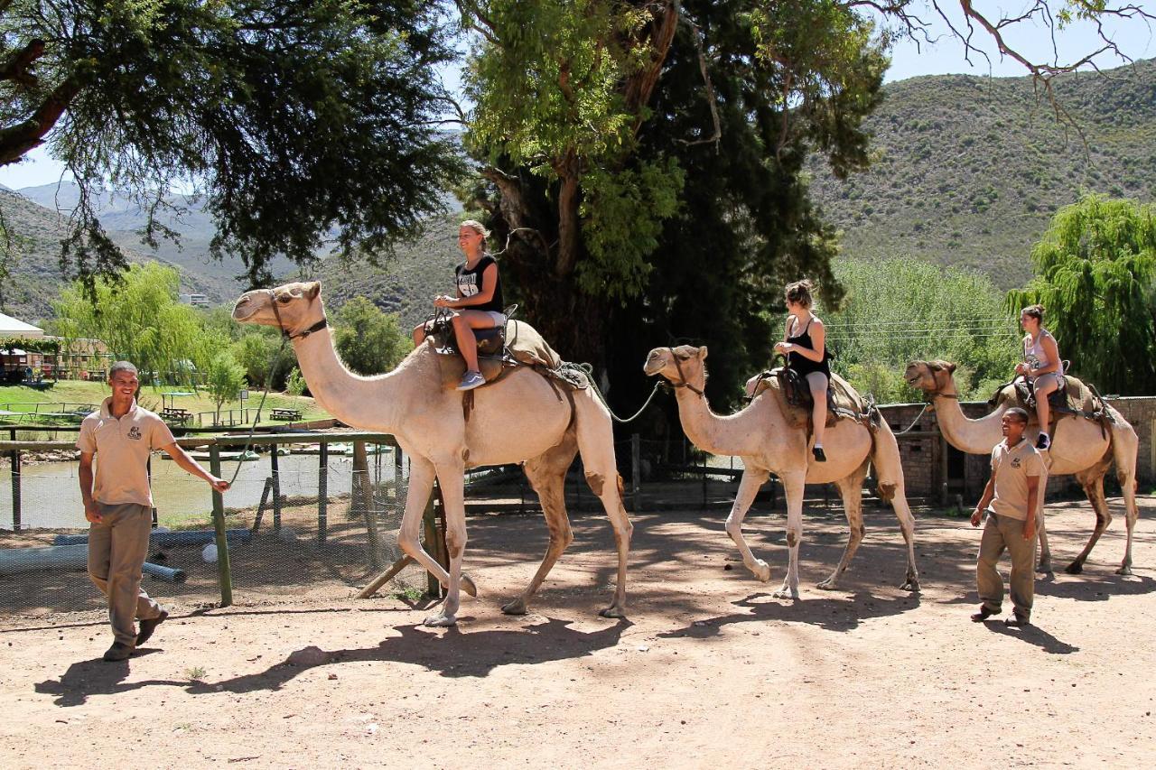 Wilgewandel Holiday Farm & Day Restaurant Oudtshoorn Eksteriør bilde
