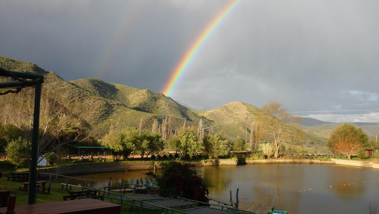Wilgewandel Holiday Farm & Day Restaurant Oudtshoorn Eksteriør bilde