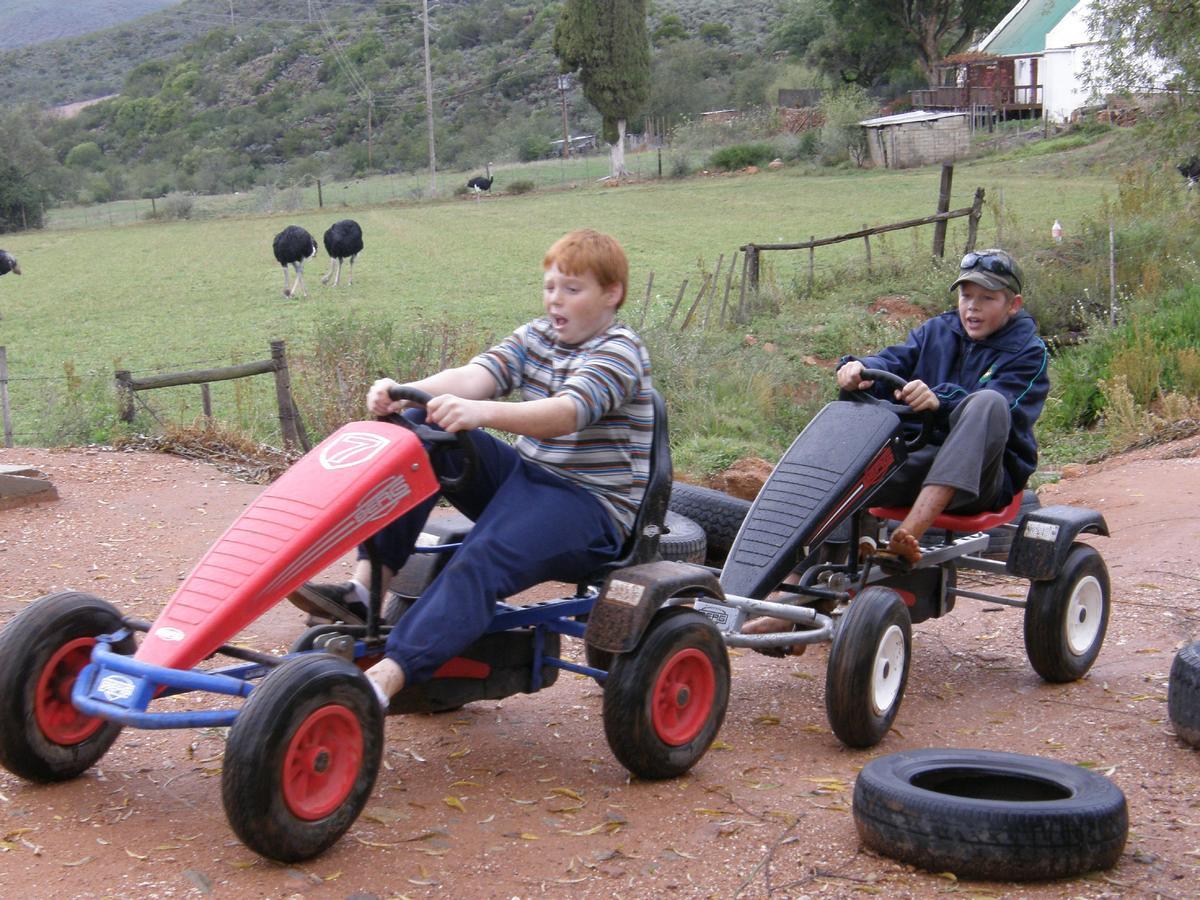 Wilgewandel Holiday Farm & Day Restaurant Oudtshoorn Eksteriør bilde