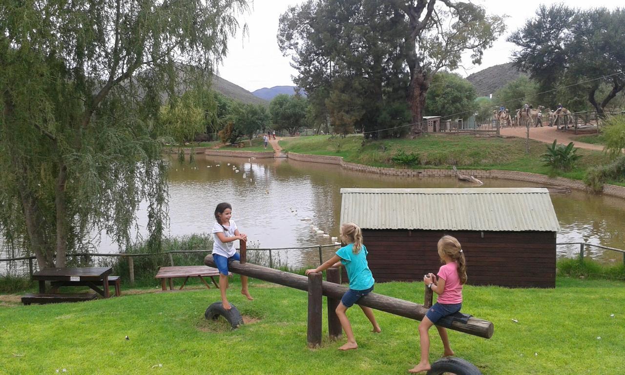 Wilgewandel Holiday Farm & Day Restaurant Oudtshoorn Eksteriør bilde