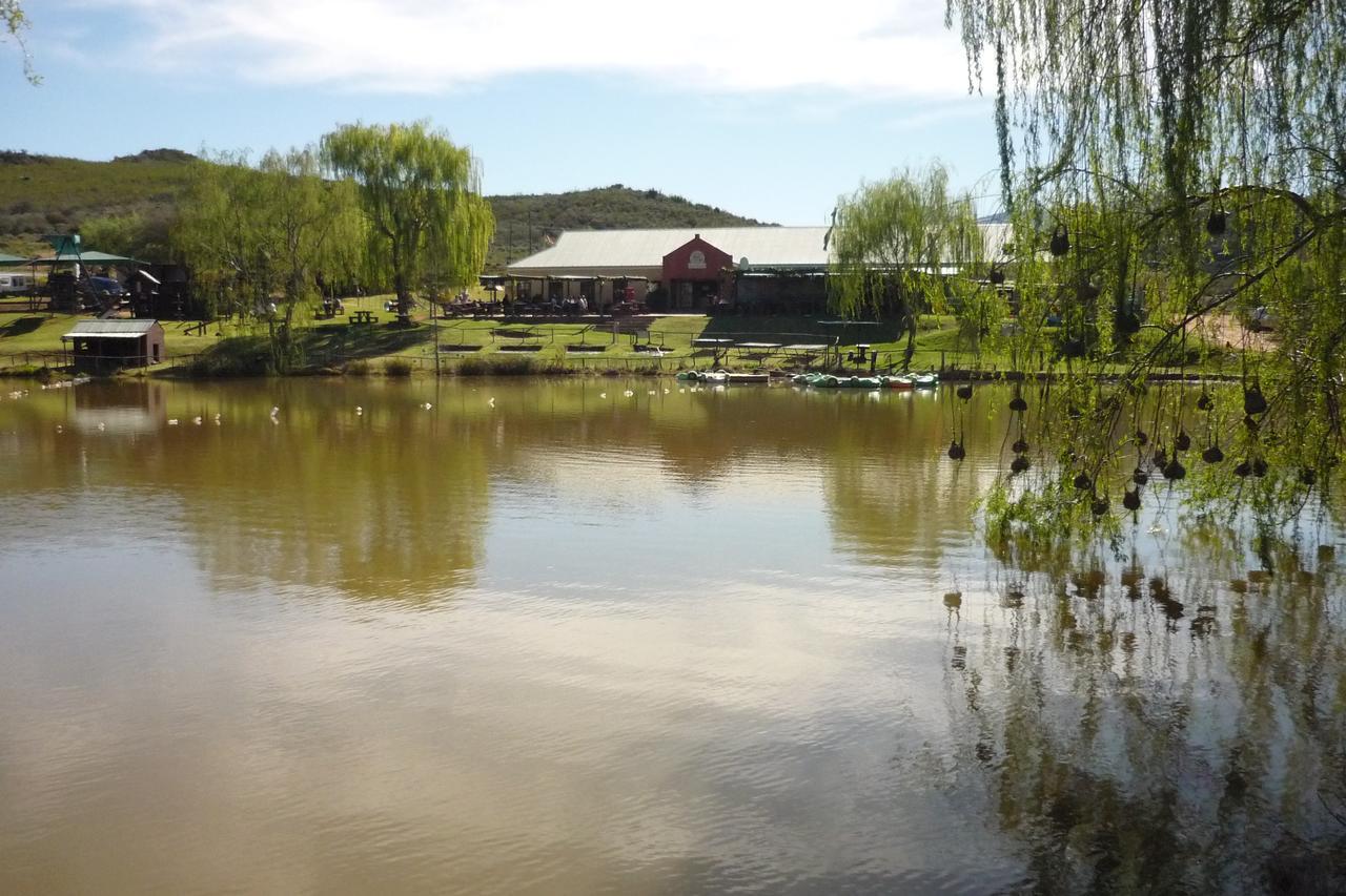 Wilgewandel Holiday Farm & Day Restaurant Oudtshoorn Eksteriør bilde