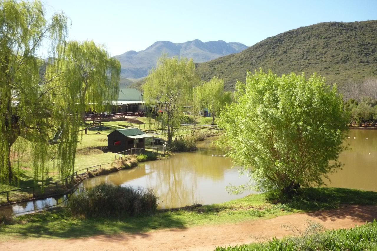 Wilgewandel Holiday Farm & Day Restaurant Oudtshoorn Eksteriør bilde
